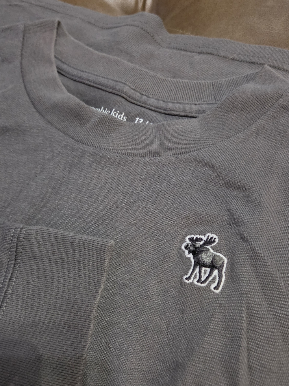 Abercrombie& Fitch Kids Moose Long Sleeve Tee